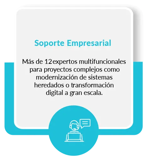 Soporte Empresarial