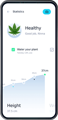 Seed-to-Sale Software Solutions