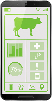 Livestock Management