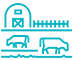 Cattle Management Solutions