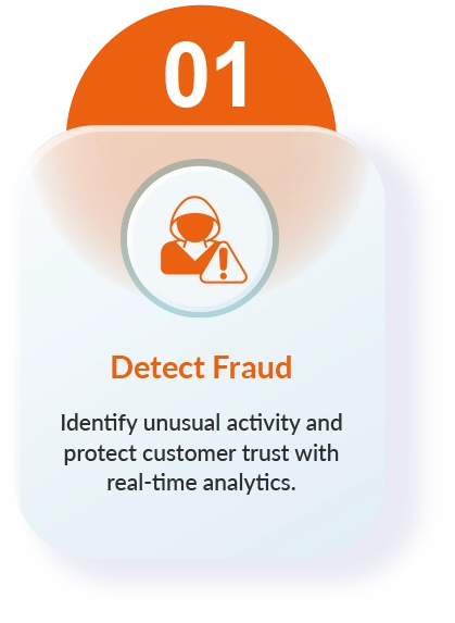 Detect Fraud