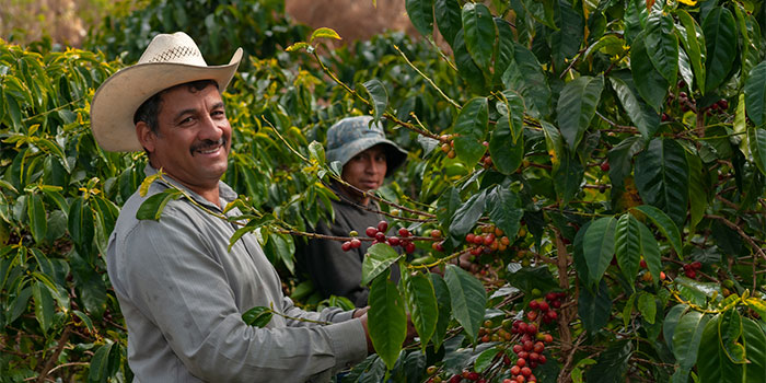 El Futuro de la Agtech en América Latina: ¿Qué Nos Espera?