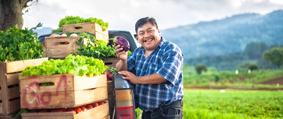 Agricultores Recolectando Cosecha de Tubérculos en Zona Rural de Huancayo