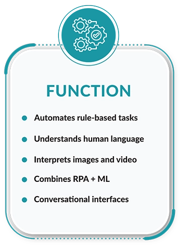 Function