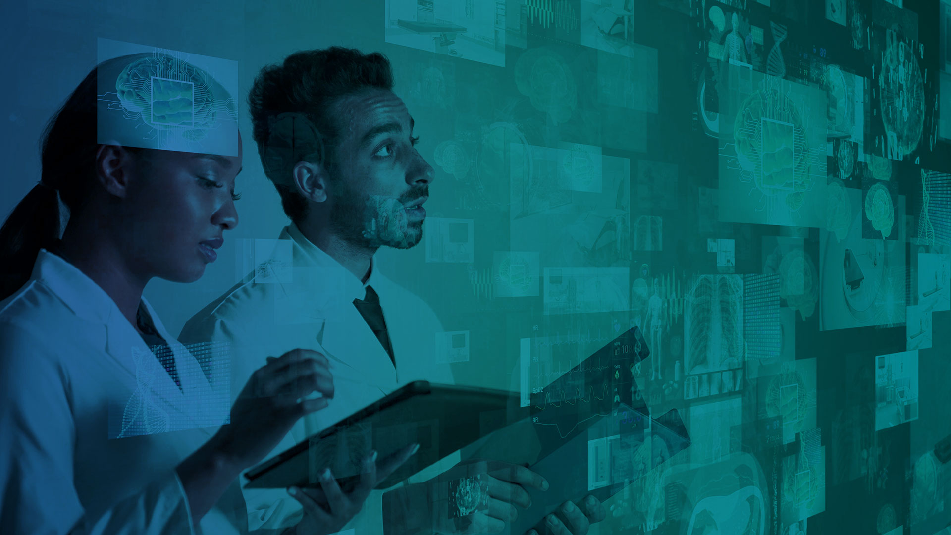 cannabis companies netsuite erp-banner
