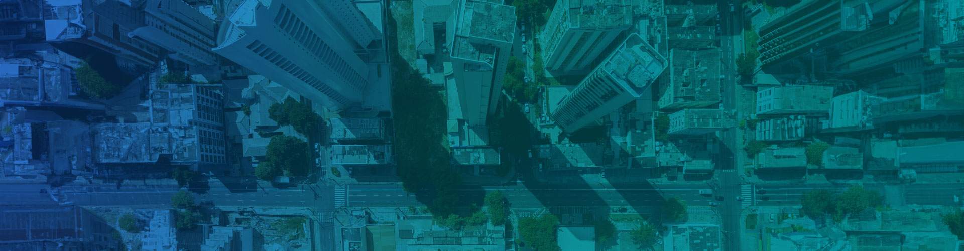 cannabis companies netsuite erp-banner