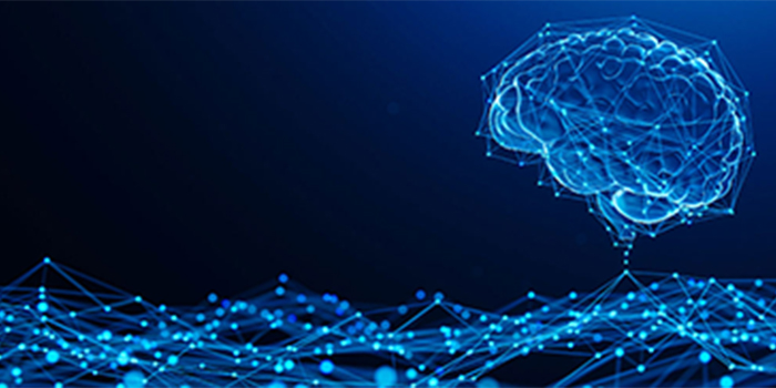 Transforming Education with Bidirectional Brain-Machine Interfaces: A Strategic Advantage for EdTech Executives