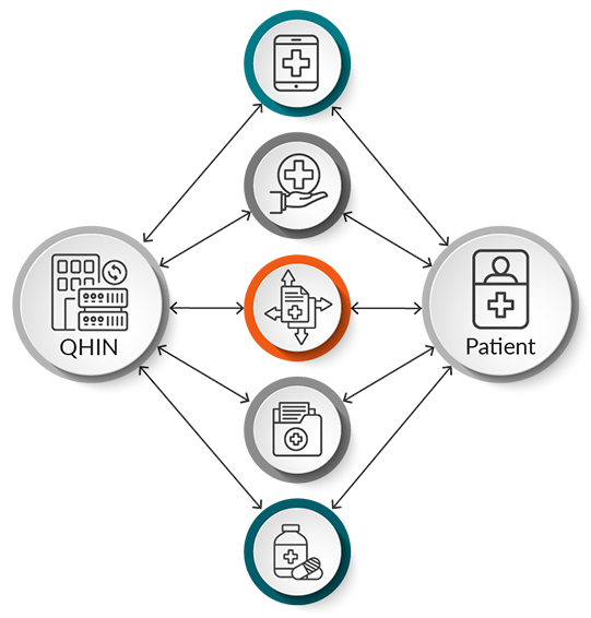qhin-flow-chart-infographic