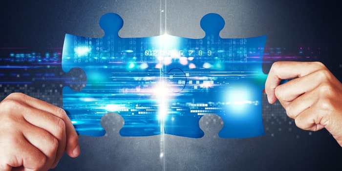 Identifying The Need For Software Integrations