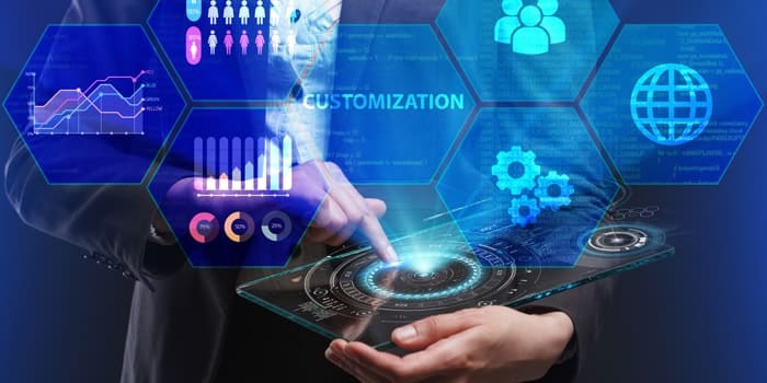 NetSuite Customization Guide