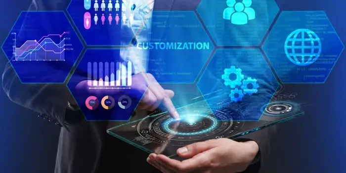 NetSuite Customization Guide