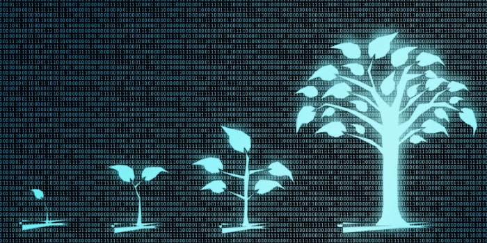 How To Scale Your Tech Startup With Top Development Talent