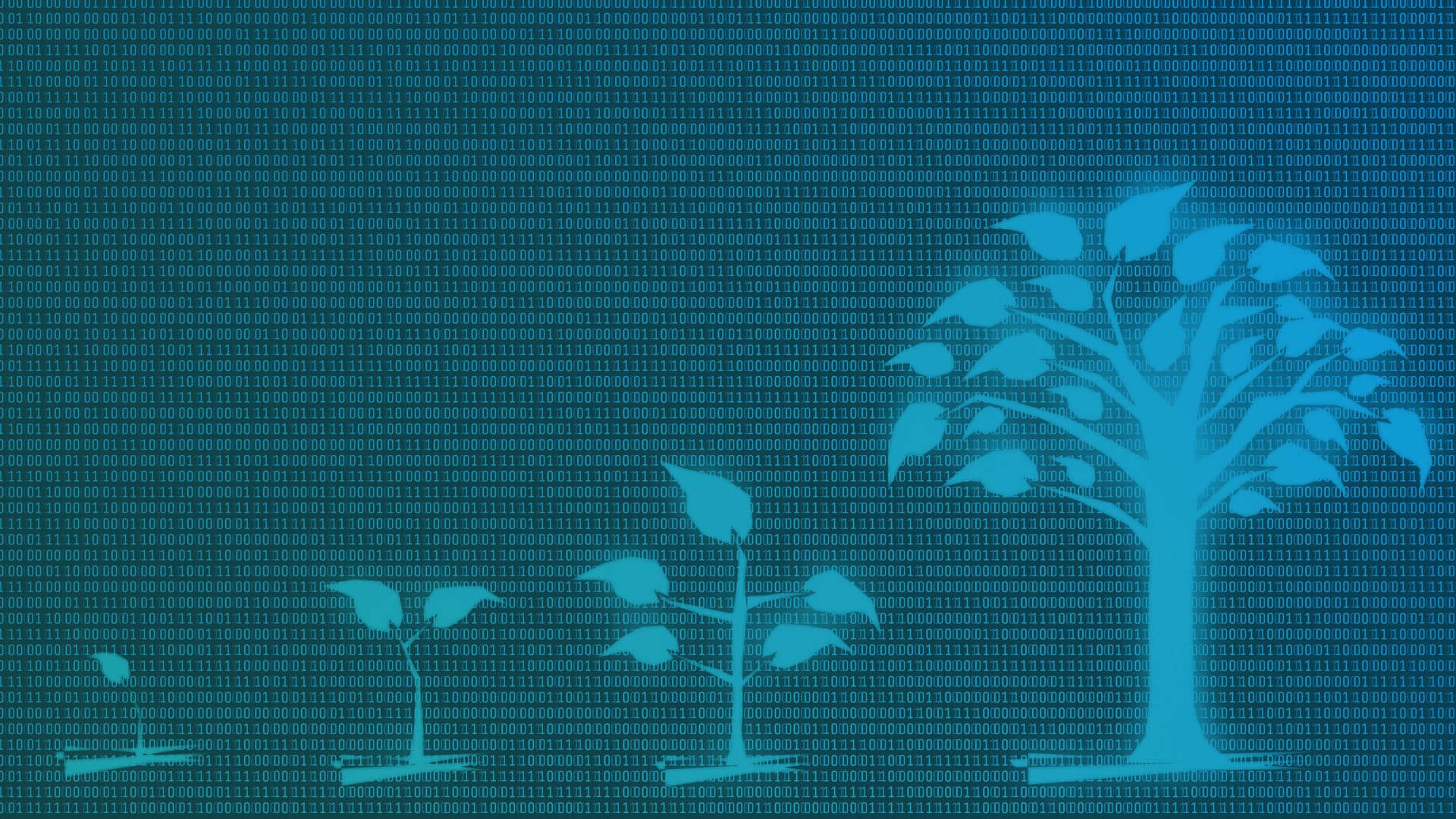 Scale Your Tech Startup With Top Development Talent