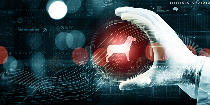 Technology Disrupting Veterinary Medicine and Practice Management