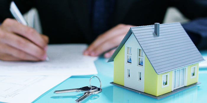 bridge-loan-app