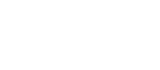 conifer