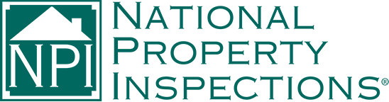Cap-Software logo