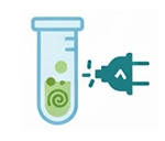 Disconnected Formulation Development