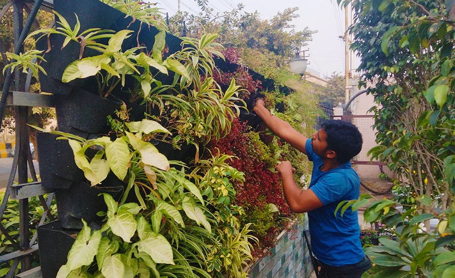 Gardening Club