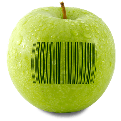 TRAVELPORT DEVELOPERS & API INTERGRATIONS 