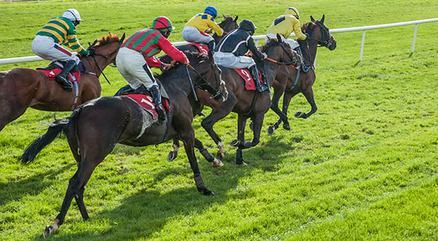 Horse Farm's Sports Betting Platform Requires Code Overhaul