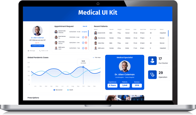 Mirth Connect Software Development