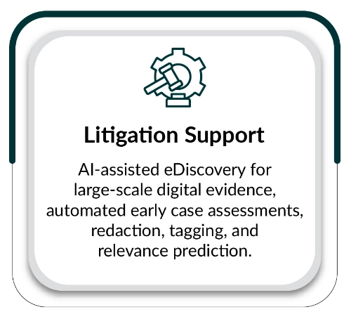Litigation Support