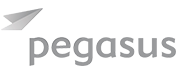 pegasus