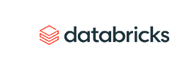 Databricks Services