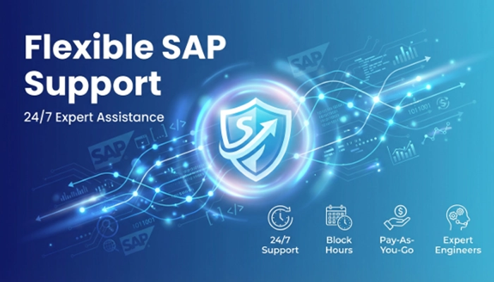 SAP Block of Hours Support Services