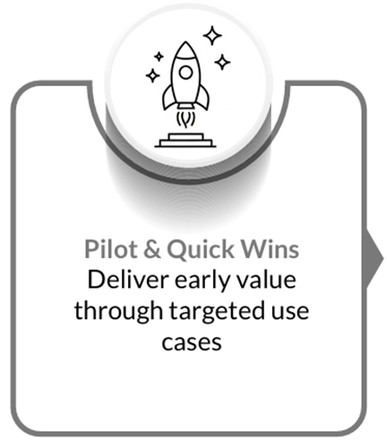 Pilot & Quick Wins