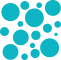 Custom Geospatial Software