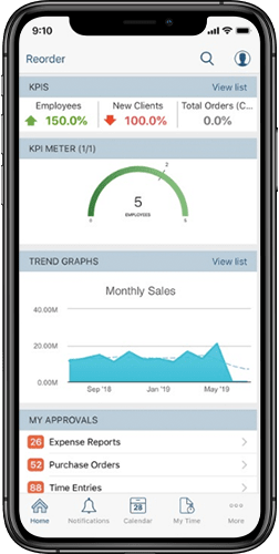 NetSuite Support Services