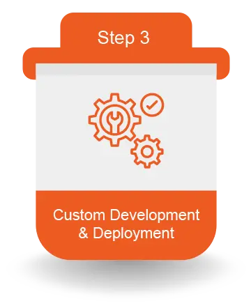 Custom Development & Deployment