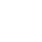 Electric Software Services