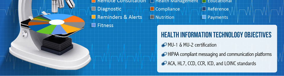 Health Information Technology Objective